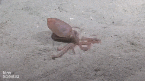 5d932fa91beb951f5105e220e8ecd265.gif