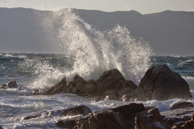 _MG_3241.JPG
