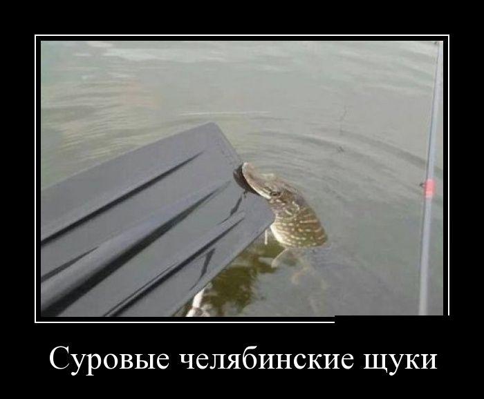 1660965_178596.jpg