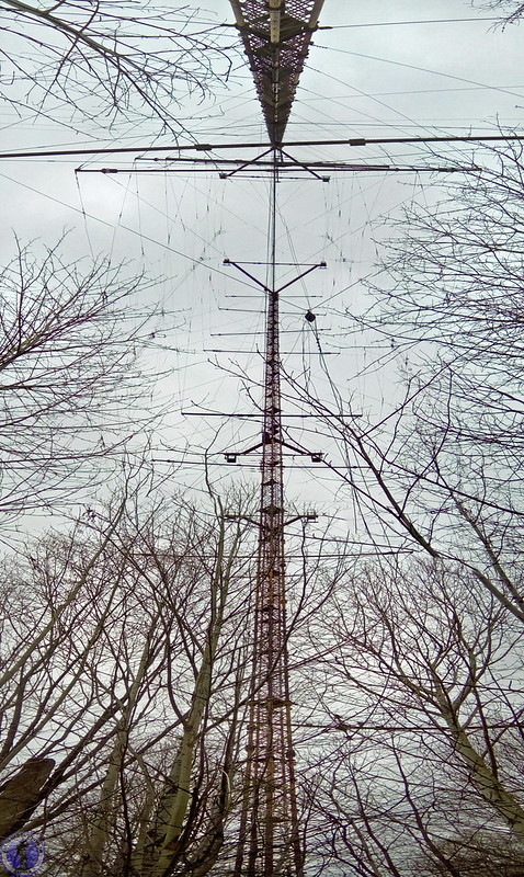 40184671910_455e547cc4_c.jpg