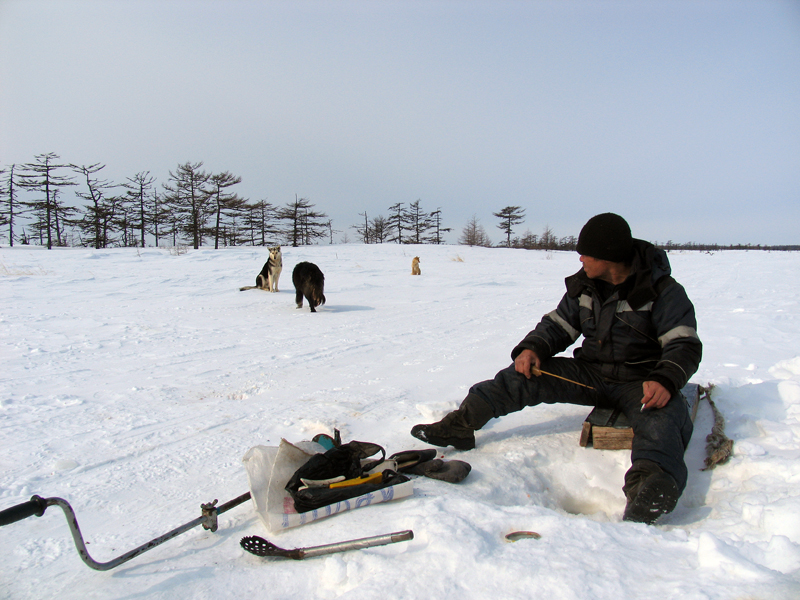 hunde_fishing2.jpg