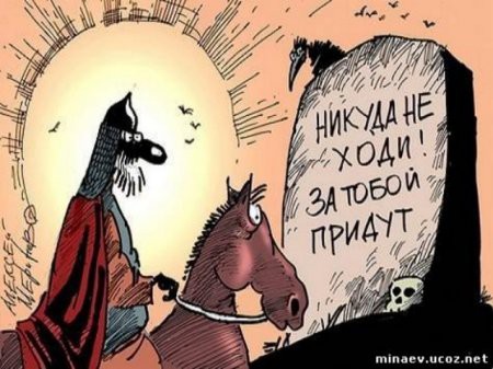 1426151959_pxdm158.jpg