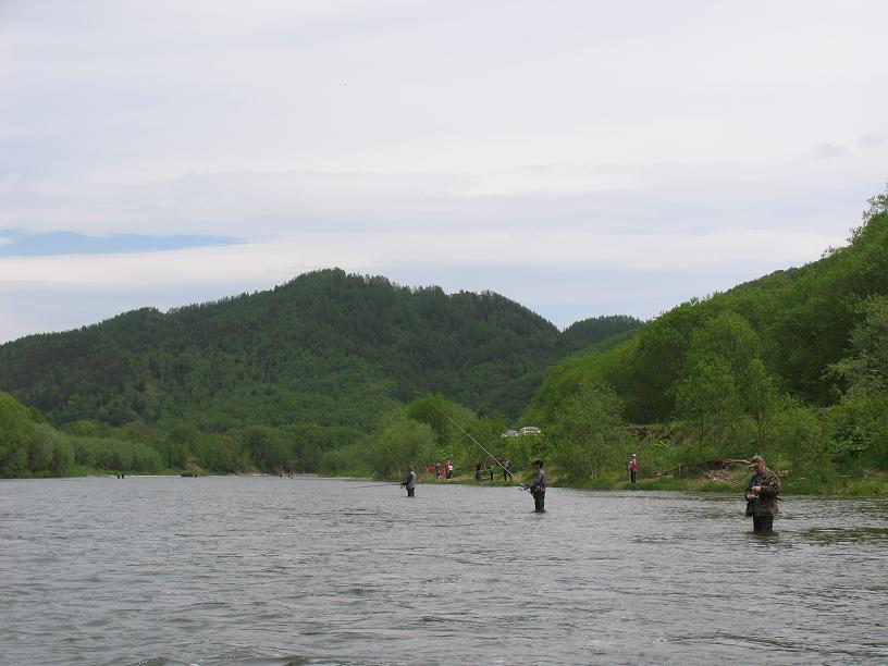 Амурские берега