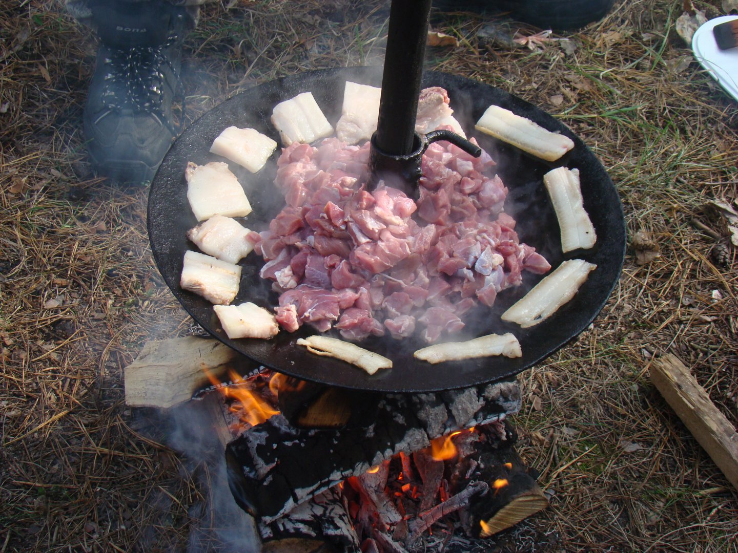 dsc02050-jpg.88805