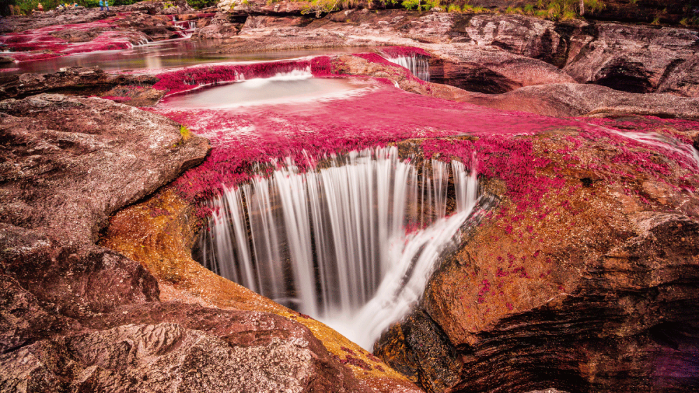 Cano-Cristales-Conoce-todo-sobre-el-rio-de-los-7-colores.png