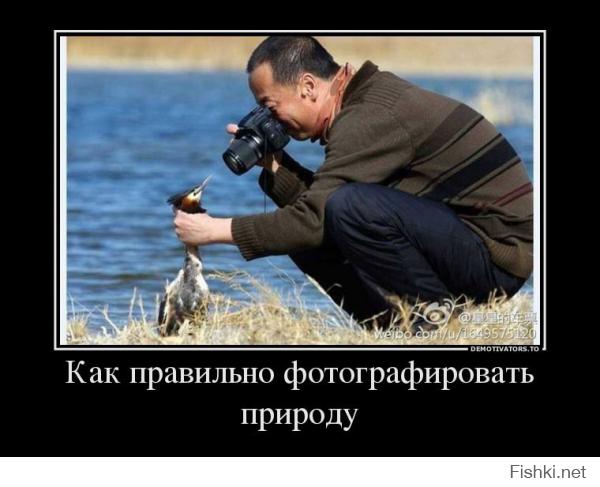 df0f185d20c9c8a1038c3fbf4d5a2734.jpg