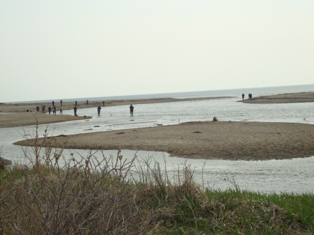 2251.jpg