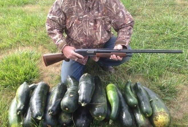 okhotnik-vegan-open.jpg