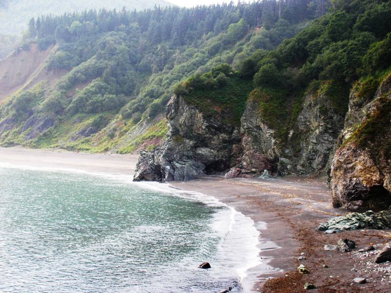 Амурские берега