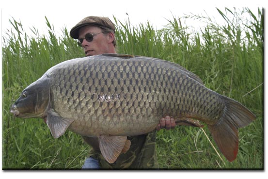 Leon-Hoogendijk-43kb.jpg