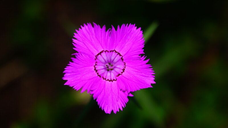 0_1d28c7_8de7525c_XL.jpg