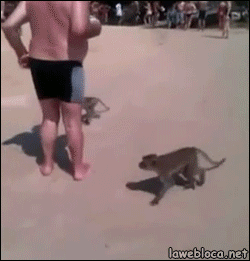 f5b7d0c6d668875621a791c24843f53a.gif