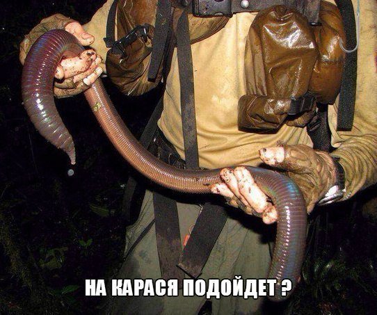 1046358_102877.jpg