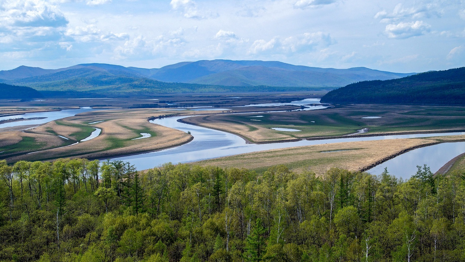 zapovedamur.ru