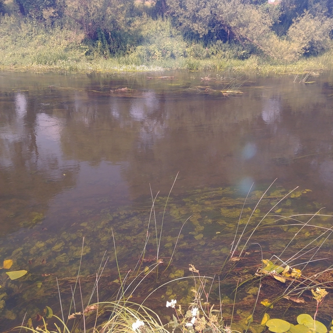20190727_112021_1.jpg