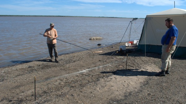 1-jpg.66698