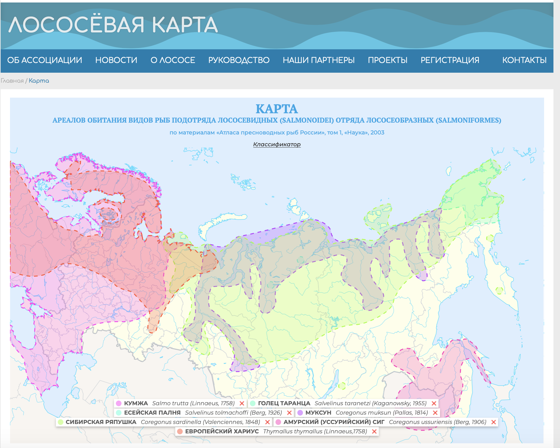 ru.russiansalmon.org