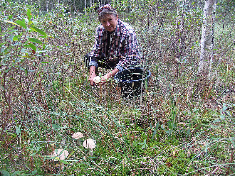 sweden2011_46.jpg