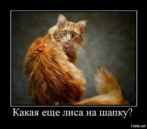 1e83abe37ac79c4999c8843e37f7aeb7.jpg