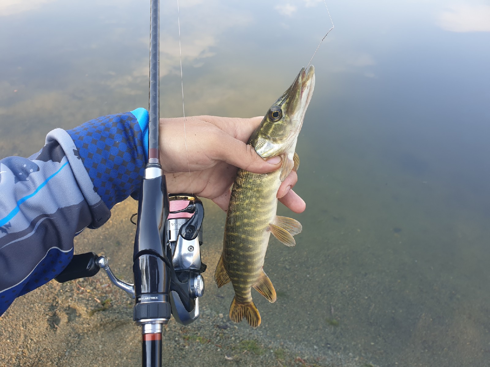 ABC-FISHING: от блесны до спиннинга! | Страница 4 | Амурский Берег -  территория, свободная для творчества