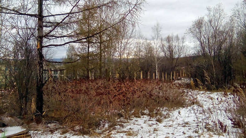 41485034044_2f55a14db2_c.jpg