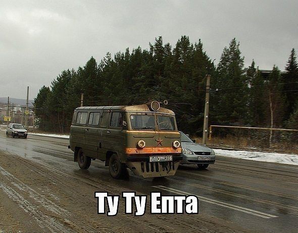 4956230.jpg
