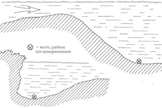 wAF-zkQC9fw.jpg