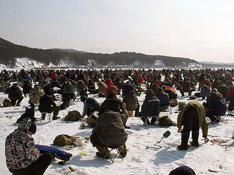 koruschka_2012_1.jpg