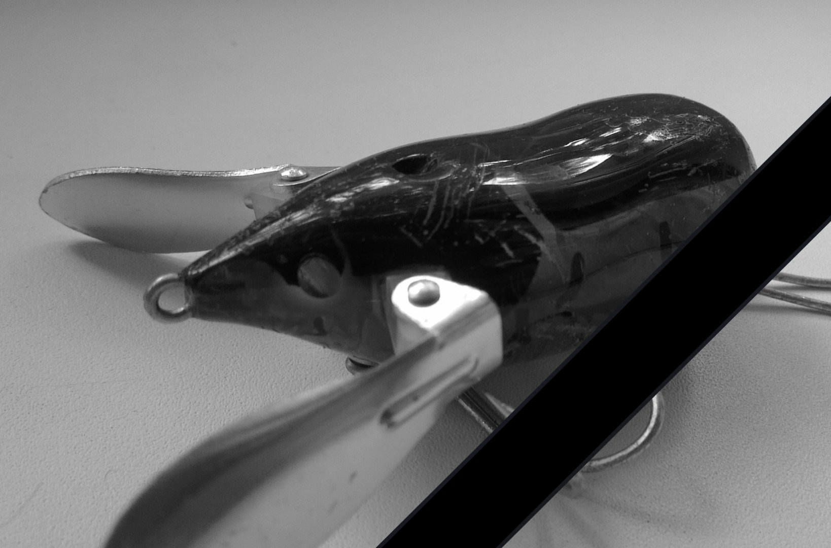 imag1846r-jpg.216747