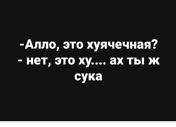 12208131.jpg