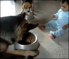 v-bolshoj-seme-ne-wyolkajut.gif