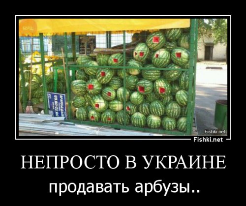 4c5c2258b95d482ef3d63f457bcd8ac9.jpg