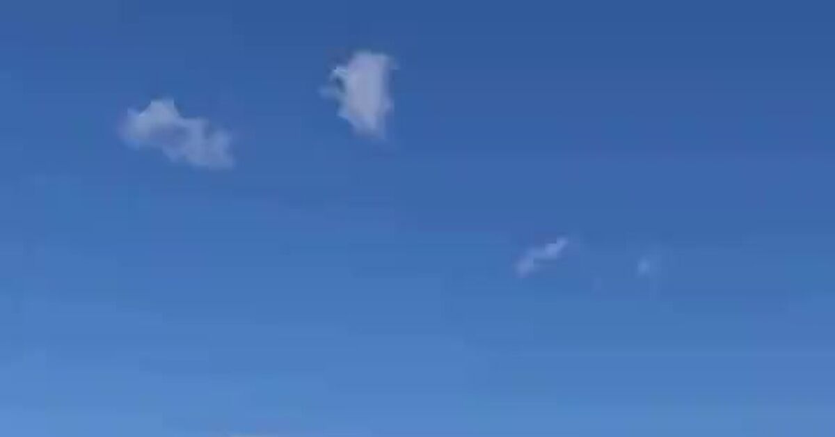 pikabu.ru