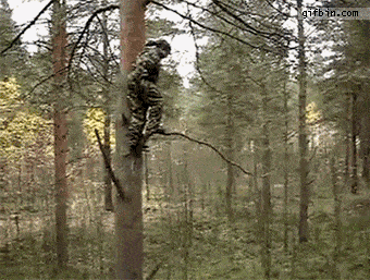 f4062099d46159aeec3956f0452f0394.gif