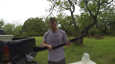 gif-01122014-007.gif