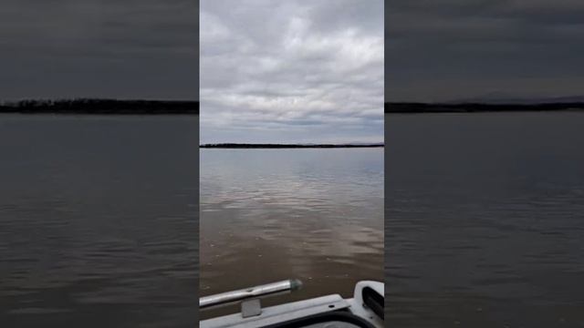 rutube.ru
