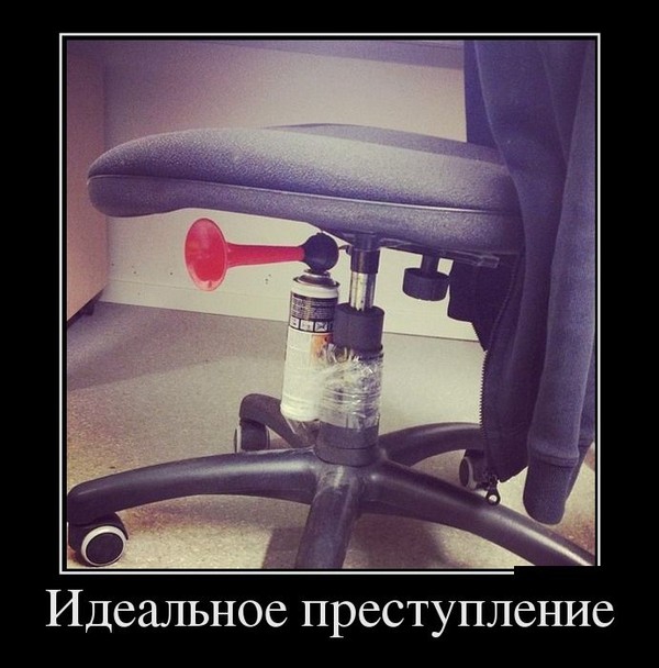 1352710083_tf1taxrenk.jpg