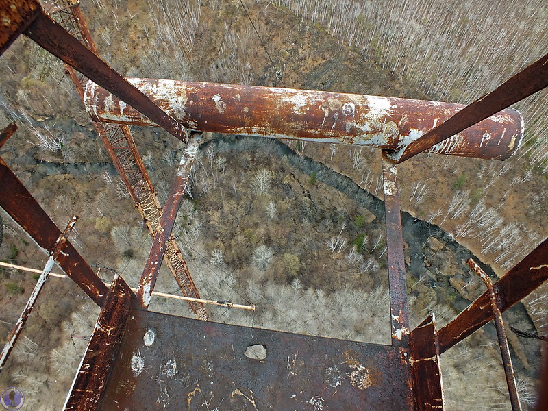 41091551285_93237c426a_c.jpg