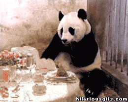 e619f545ba47eaf3eeeec37dbef25ff6.gif