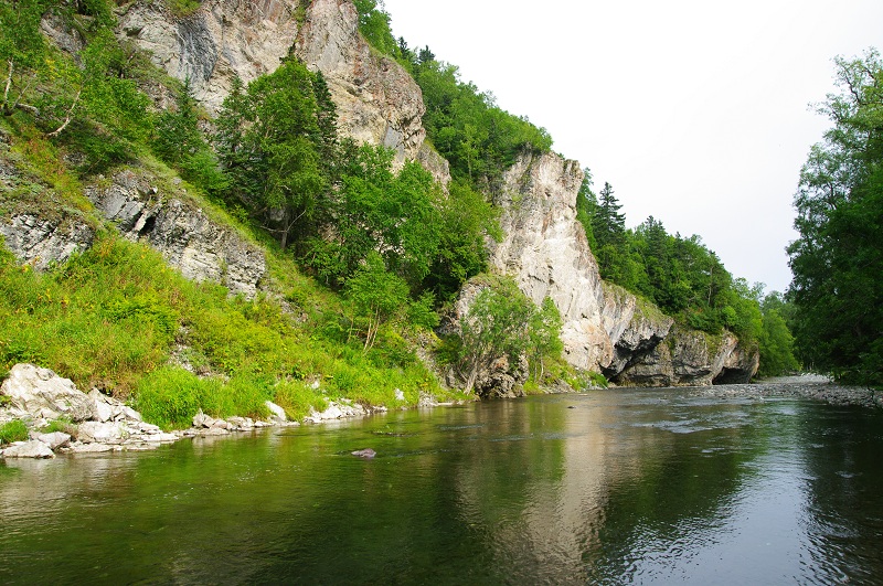 Амурские берега