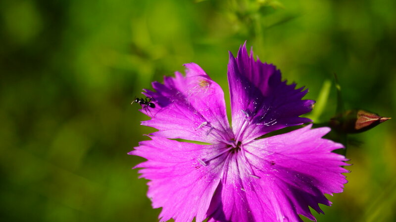 0_1d28c3_f682d769_XL.jpg
