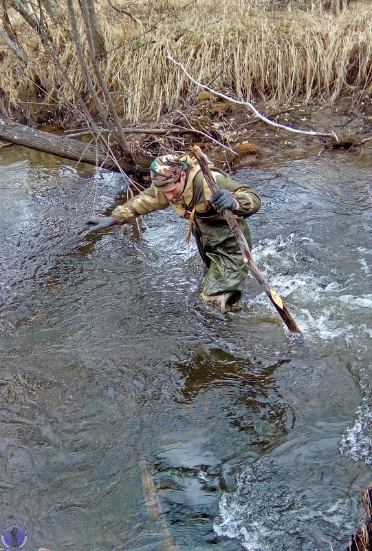41991305111_97654d4f23_c.jpg
