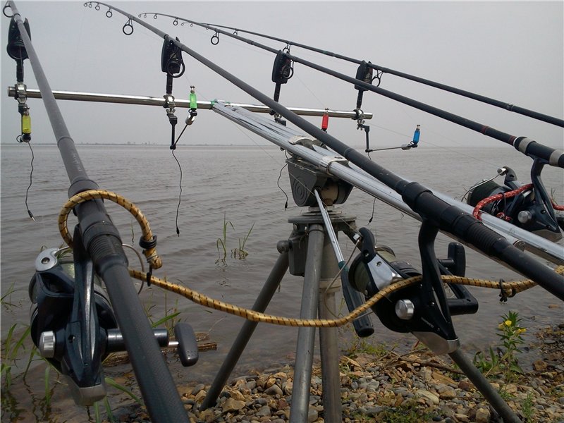 da3b268bb66e-jpg.85619