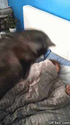 a0e620dfc84d1d22a91db0f4ca4b3fb9.gif
