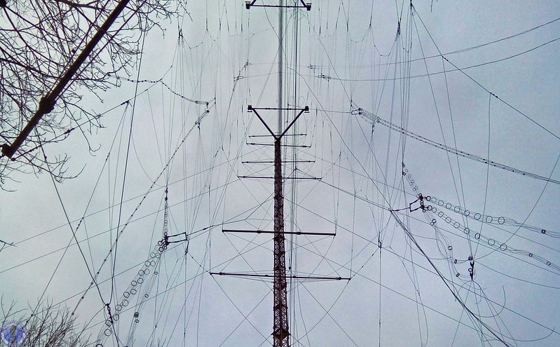 41947027842_44835254a6_c.jpg