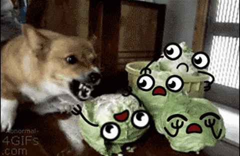 590e02976fe129ebb937556b0e48c34a.gif
