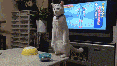 8f238372d98ad37c38f5d97145ece584.gif