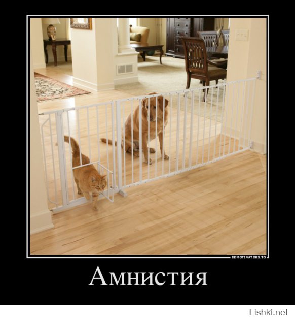 97c4084e7076fe0333ce11e0820ad373.jpg