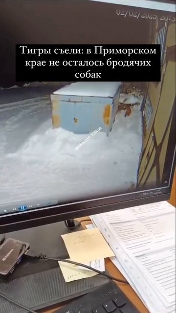 rutube.ru