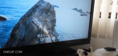 1375949727_gifs_15.gif